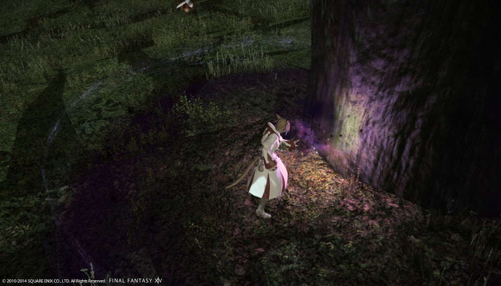 ffxiv_20140309_151237_20140309_a18