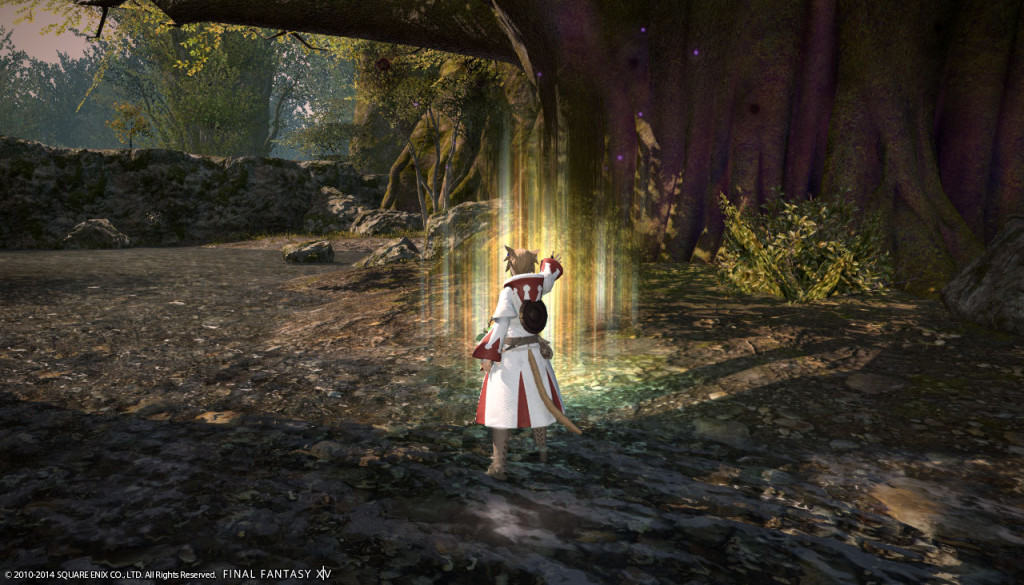 ffxiv_20140309_163848_20140309_a15