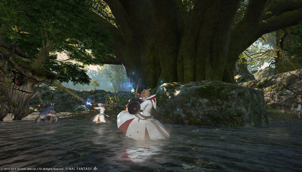ffxiv_20140309_163945_20140309_a16
