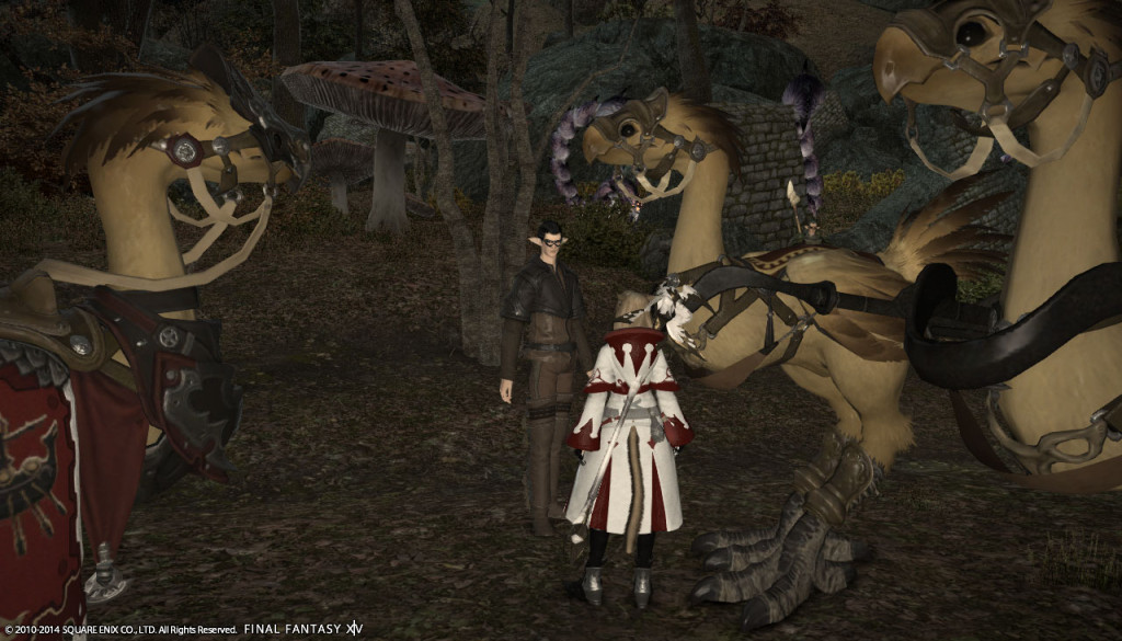 ffxiv_20140413_103901_20140413_b09