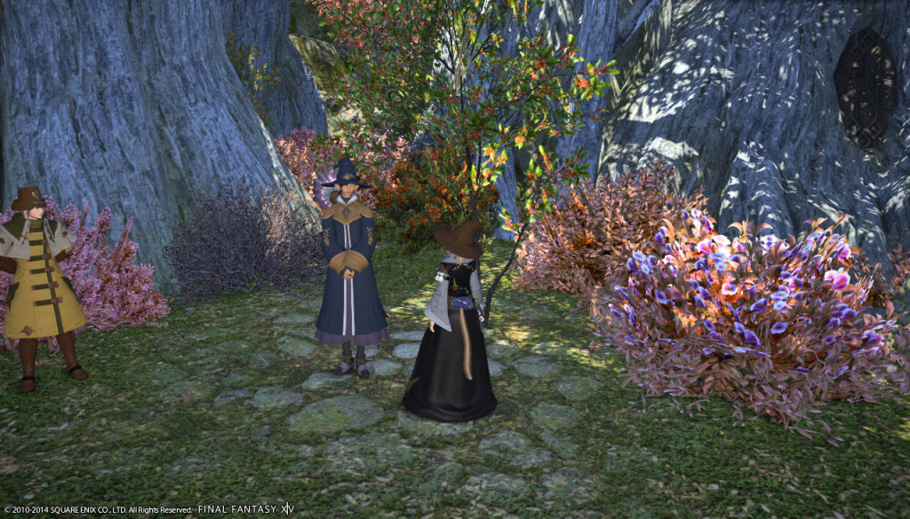 ffxiv_20140420_110336_20140420_a04