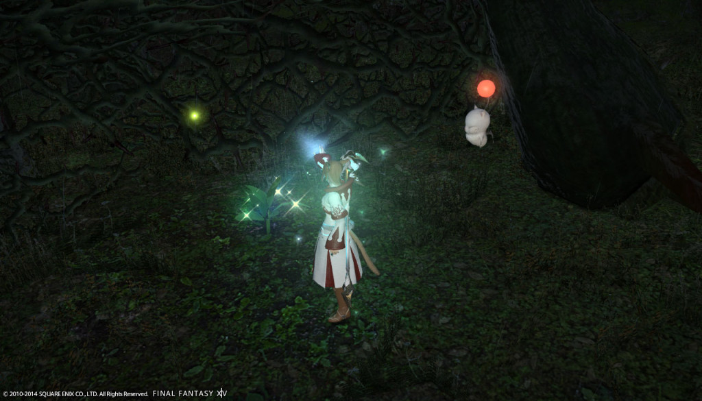 ffxiv_20140426_193334_20140426_a06