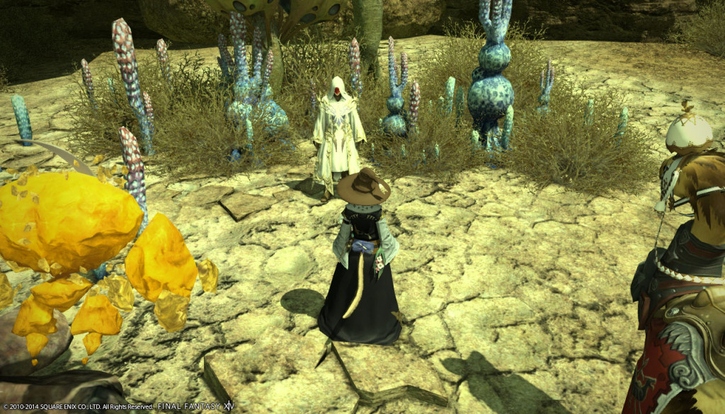ffxiv_20140426_210607_20140426_b07