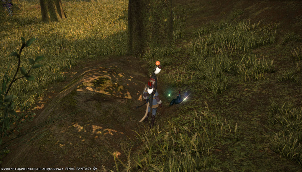ffxiv_20140502_135055_20140502_a05