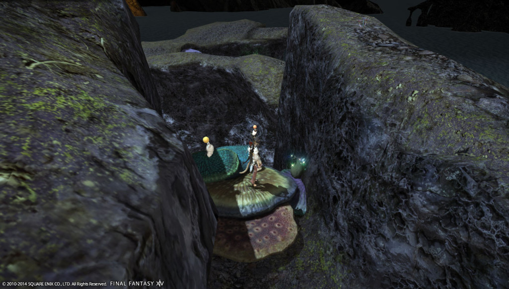 ffxiv_20140502_173848_20140502_d13