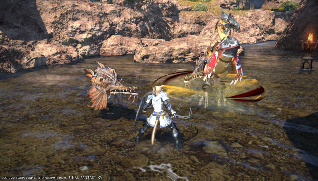 ffxiv_20140601_111120_20140601_a24
