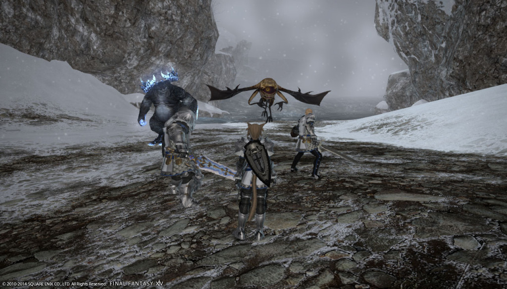 ffxiv_20140601_123046_20140601_a21