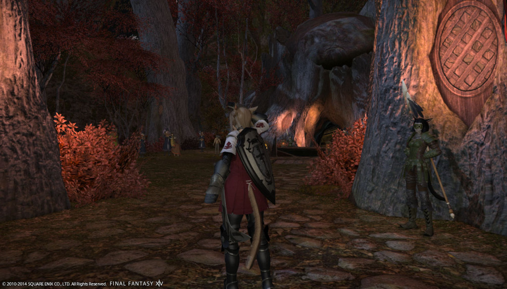 ffxiv_20140609_012420_20140609_a04