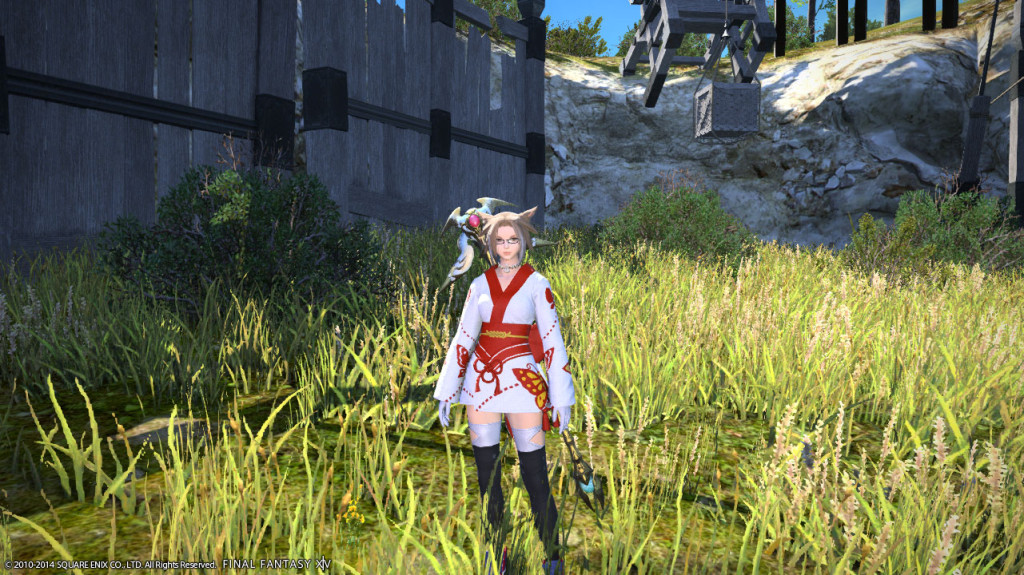 ffxiv_20140814_222839_20140814_a04