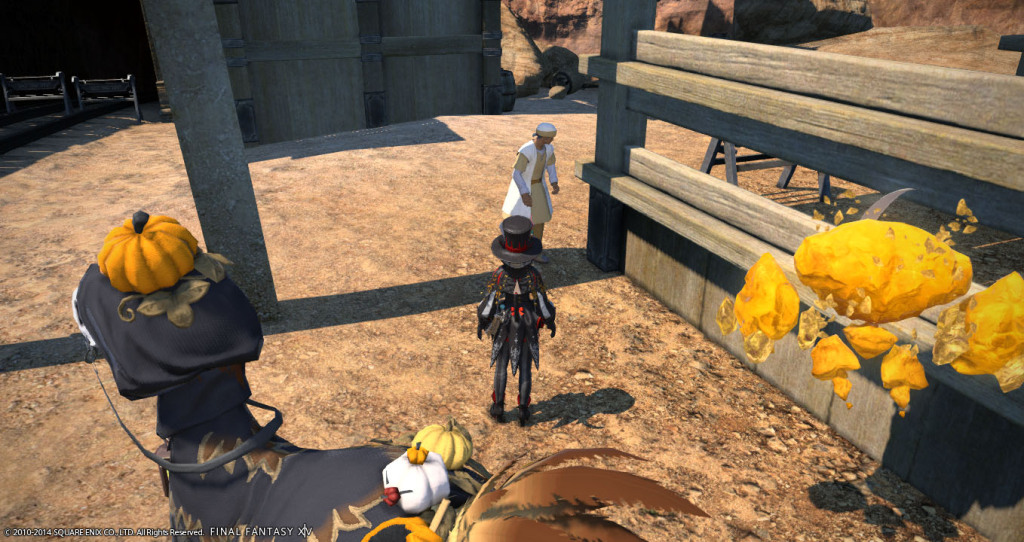 ffxiv_20141026_223656_20141026_a13
