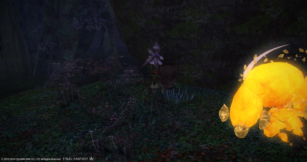 ffxiv_20141101_204035_20141101_a09