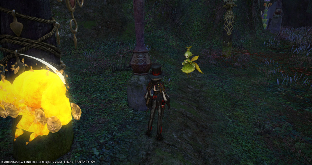 ffxiv_20141101_205435_20141101_a13