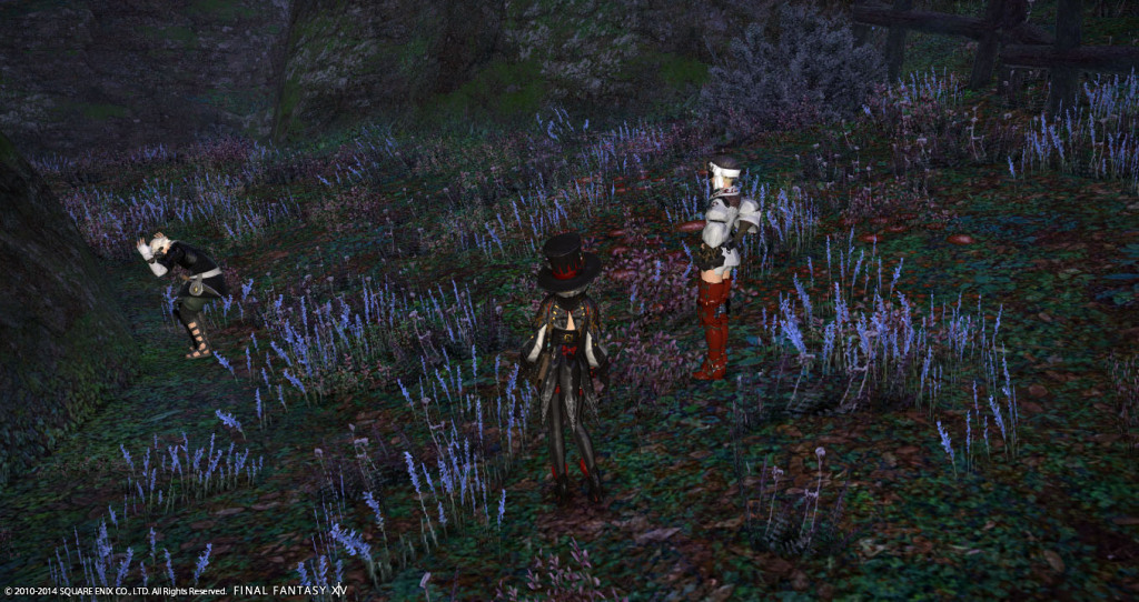 ffxiv_20141101_210220_20141101_a15