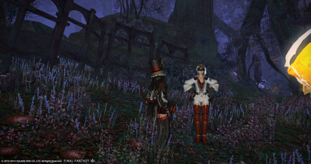 ffxiv_20141101_211159_20141101_a17