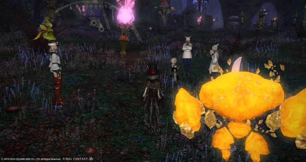ffxiv_20141101_211753_20141101_a18