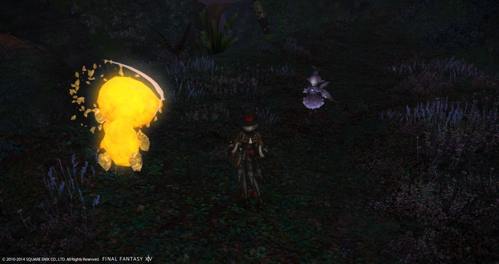 ffxiv_20141101_212717_20141101_a21