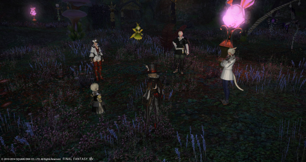 ffxiv_20141101_212900_20141101_a22