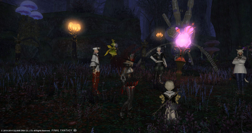 ffxiv_20141101_215000_20141101_b01