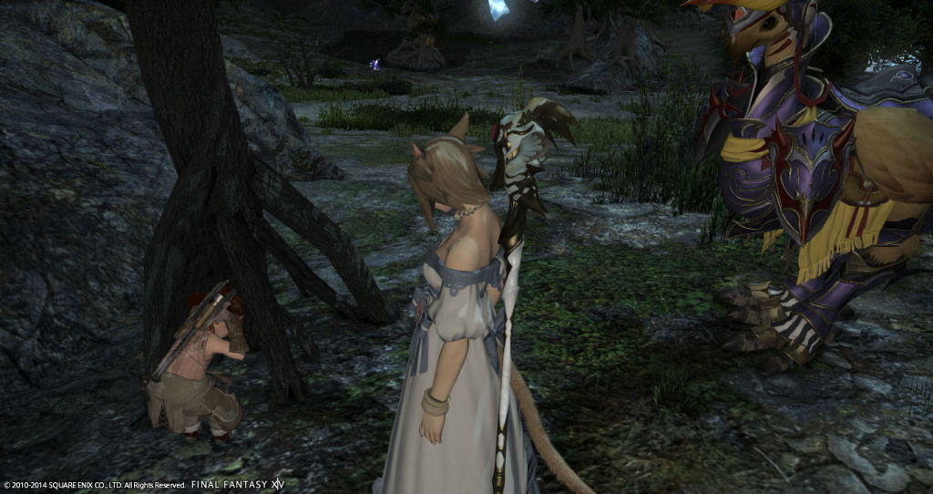 ffxiv_20141102_140448_20141102_a15