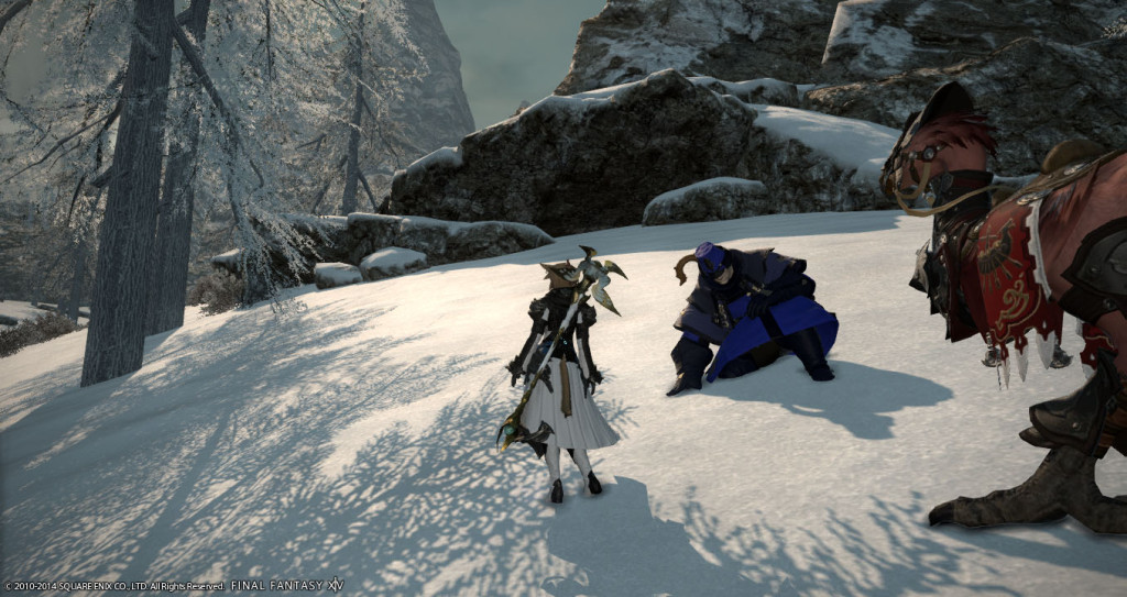 ffxiv_20141231_111038_20141231_a03