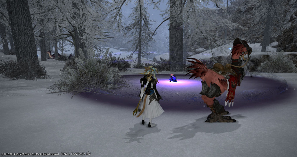 ffxiv_20141231_112025_20141231_a06