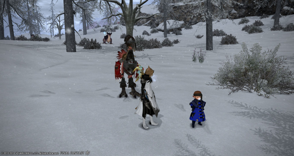 ffxiv_20141231_112157_20141231_a08