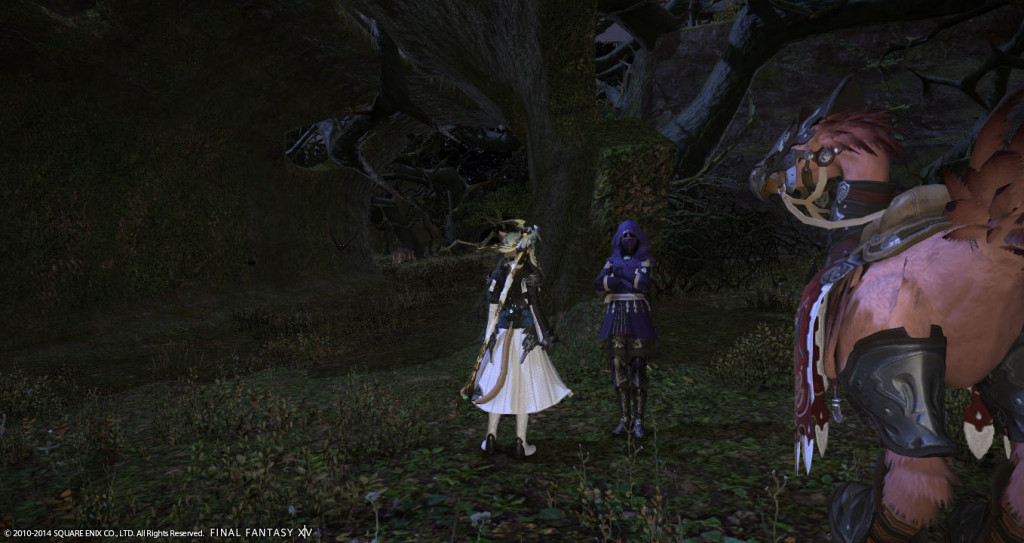 ffxiv_20141231_132218_20141231_b07