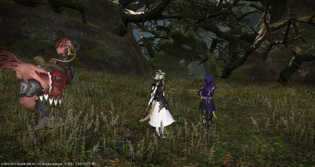 ffxiv_20141231_132819_20141231_b08