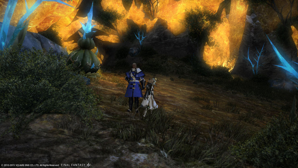 ffxiv_20150125_112520_20150125_a04