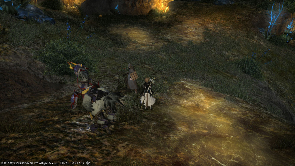 ffxiv_20150125_112746_20150125_a05