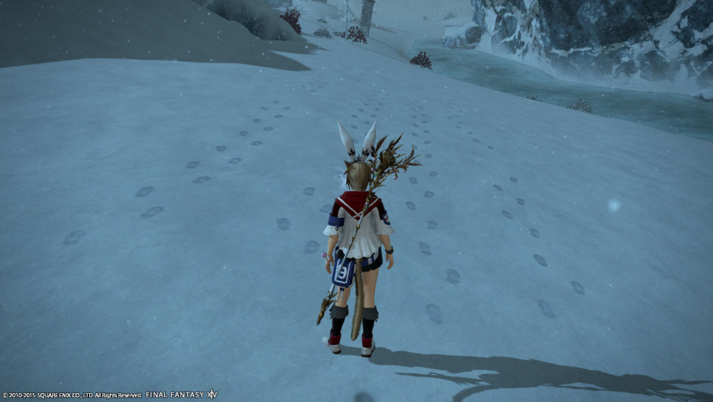 ffxiv_20150620_190209_20150620_f03