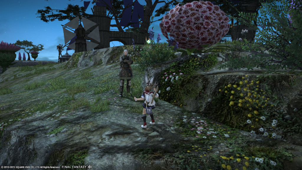 ffxiv_20150621_064644_20150621_a04