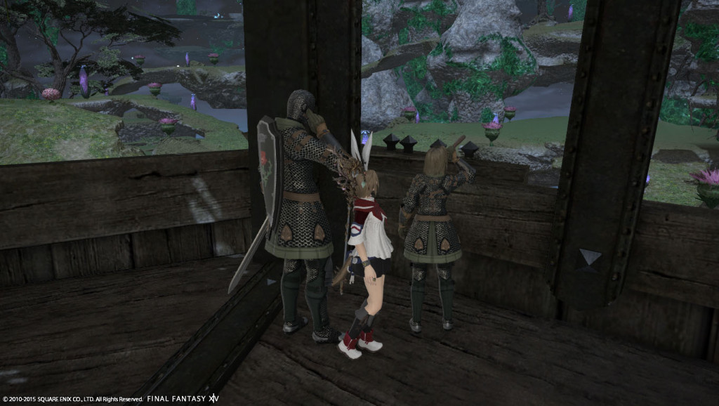 ffxiv_20150621_070235_20150621_b01