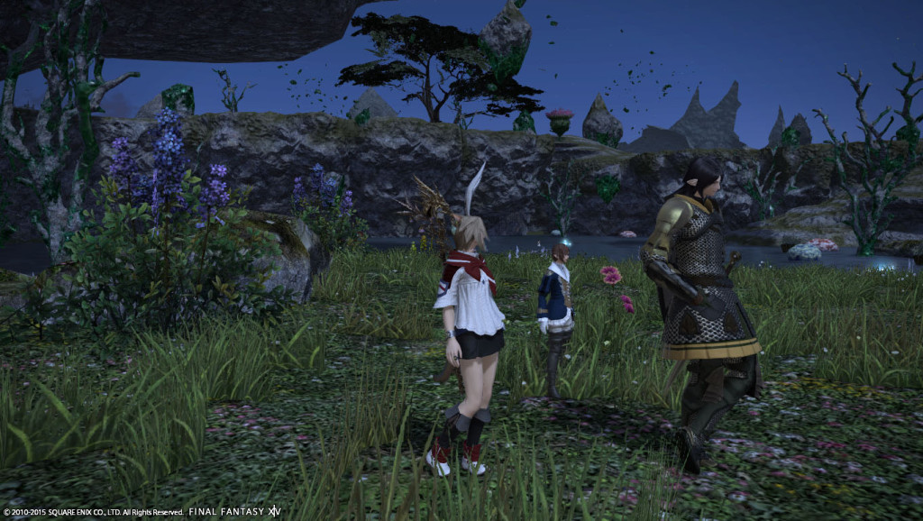 ffxiv_20150621_071236_20150621_b04