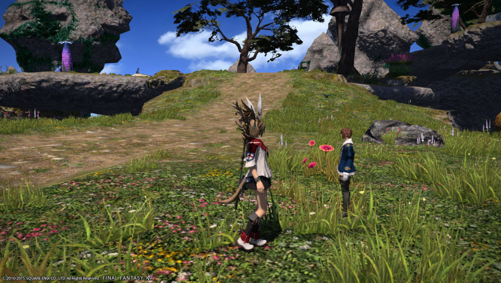 ffxiv_20150621_072704_20150621_b06