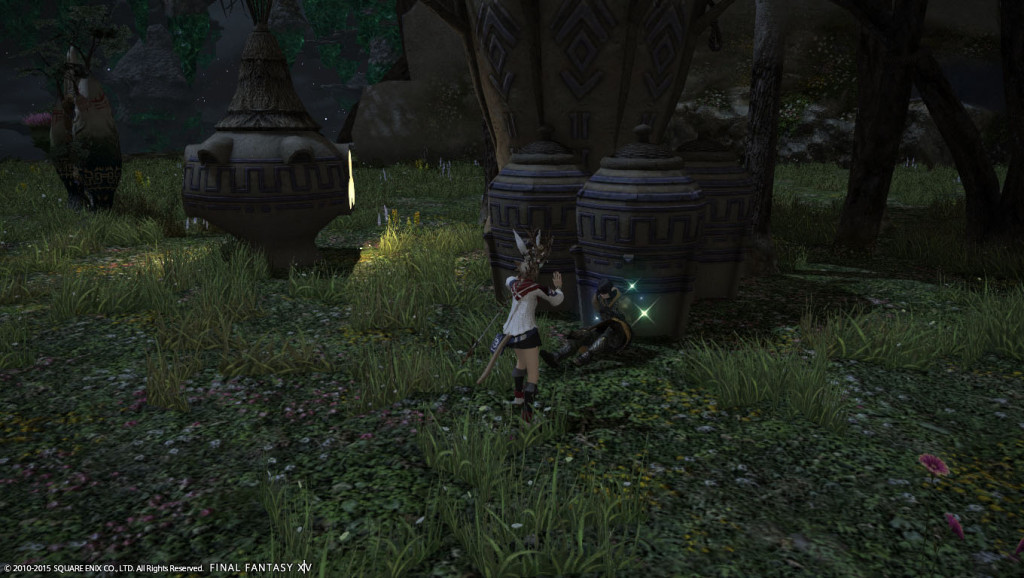 ffxiv_20150621_075447_20150621_c06