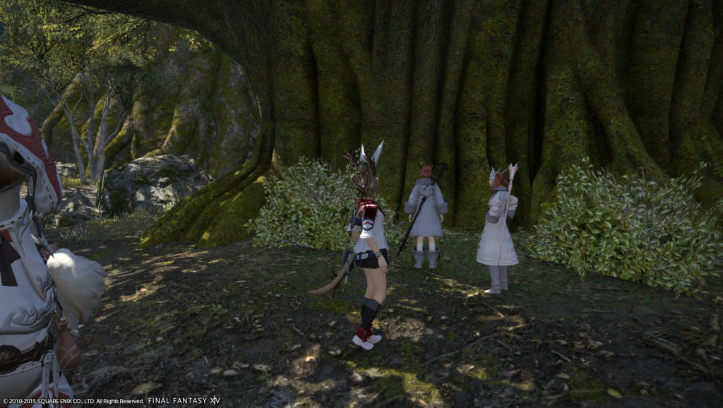 ffxiv_20150624_214914_20150624_a02