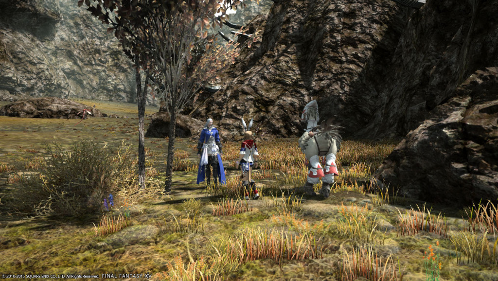 ffxiv_20150628_003654_20150628_a03