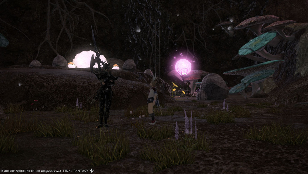 ffxiv_20150628_112430_20150628_e04