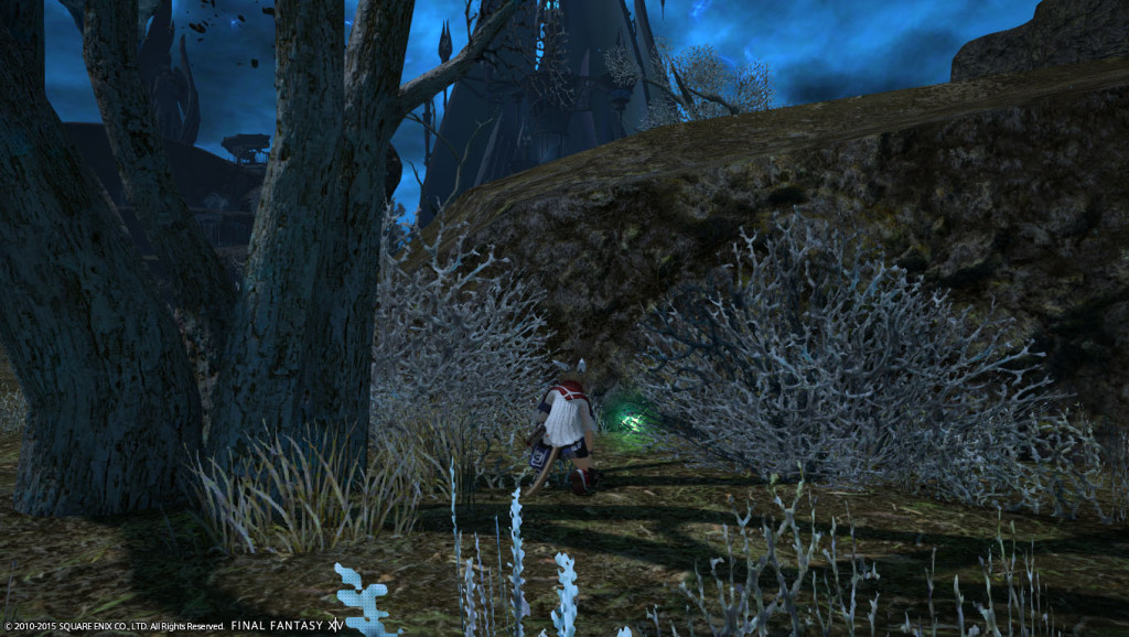ffxiv_20150628_213732_20150628_f04