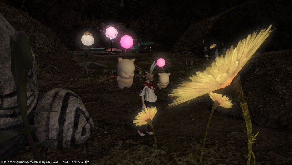 ffxiv_20150628_220118_20150628_h02