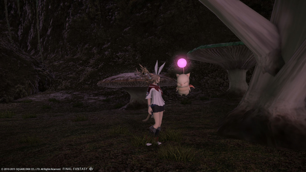 ffxiv_20150628_220147_20150628_h03