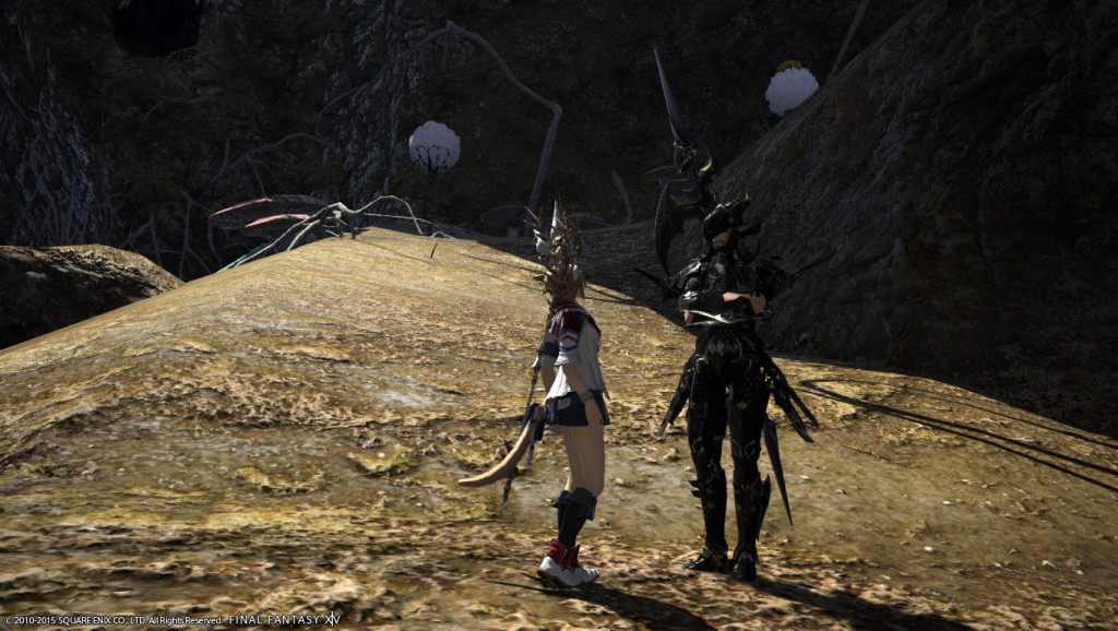 ffxiv_20150628_224130_20150628_i03