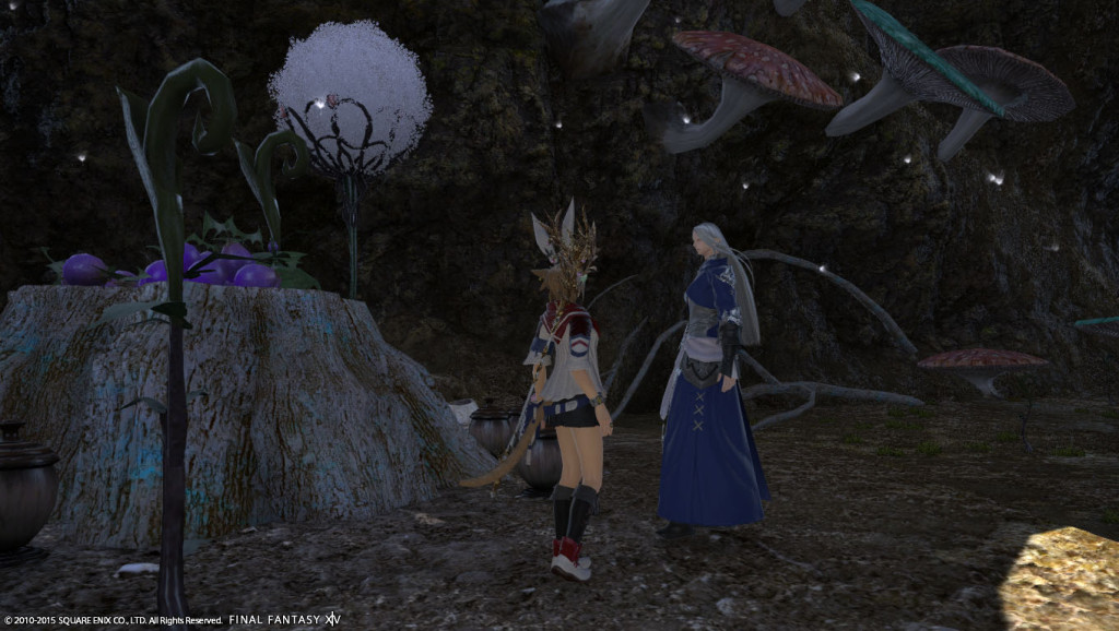 ffxiv_20150628_224201_20150628_i04