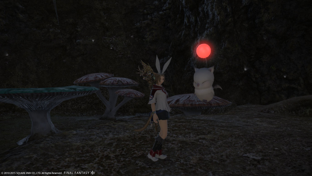 ffxiv_20150628_224310_20150628_i06