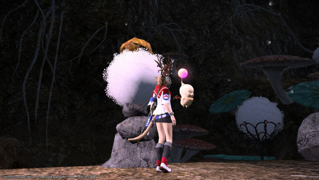 ffxiv_20150628_225244_20150628_i07