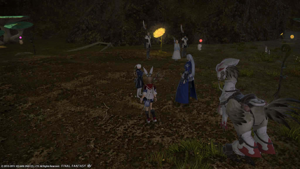 ffxiv_20150701_155140_20150701_a02