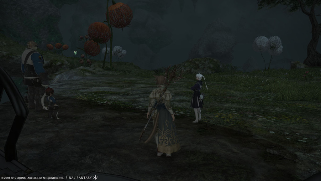 ffxiv_20150705_140917_20150705_f04