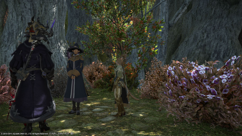 ffxiv_20150711_200730_20150711_i02