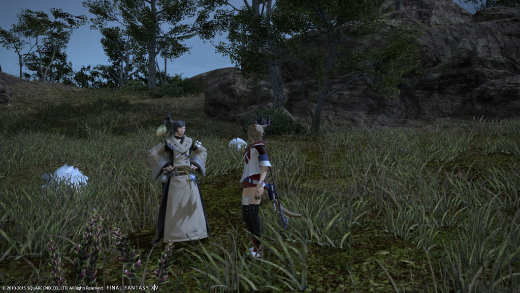 ffxiv_20150720_130551_20150720_a03